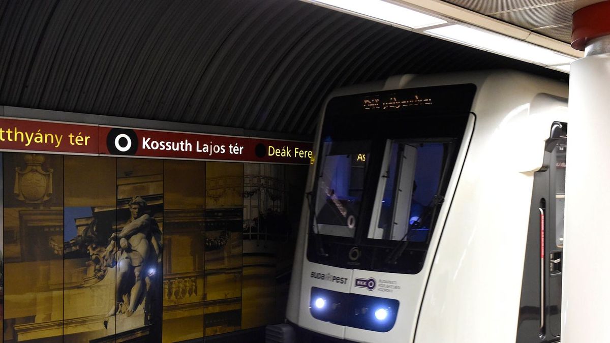 Vaddisznót gázolt a 2-es metró a Kossuth térnél.