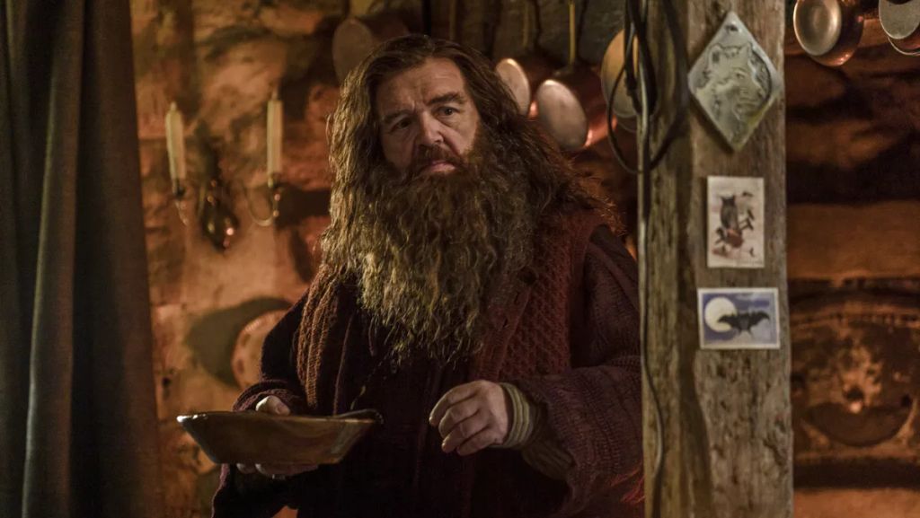 Rubeus Hagrid: Nick Frost