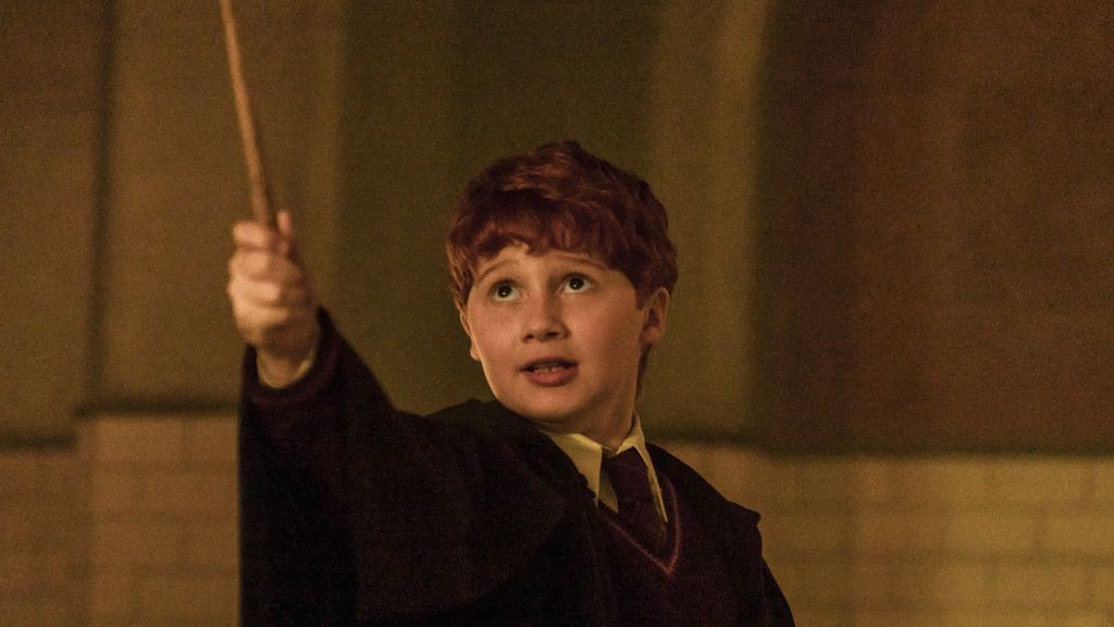 Ron Weasley: Alastair Stout