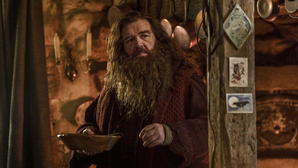 Rubeus Hagrid: Nick Frost