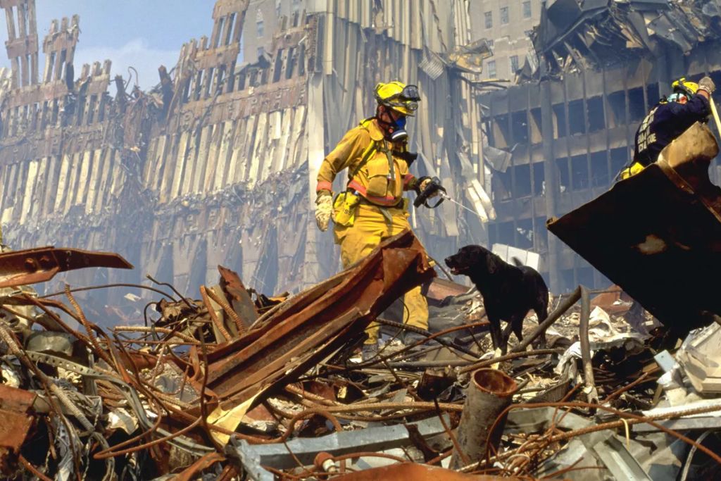 A FEMA városi kutató- és mentőcsapatai a World Trade Center romjai között keresik a túlélőket.