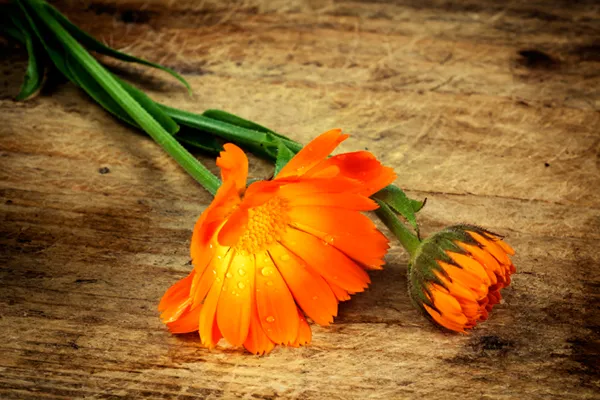 Thinkstock Thinkstock