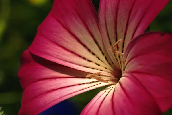 thinkstockphotos.com thinkstockphotos.com