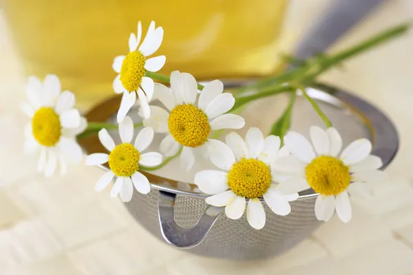 Thinkstock