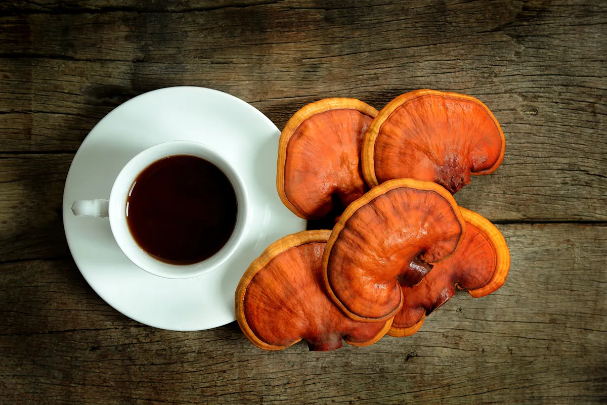 ganoderma kávé
