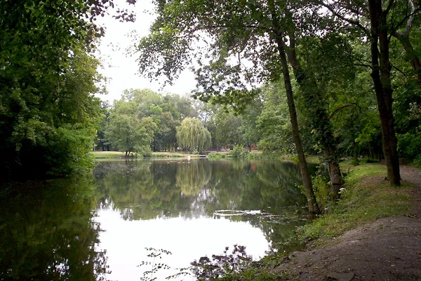 Wikimedia Wikimedia