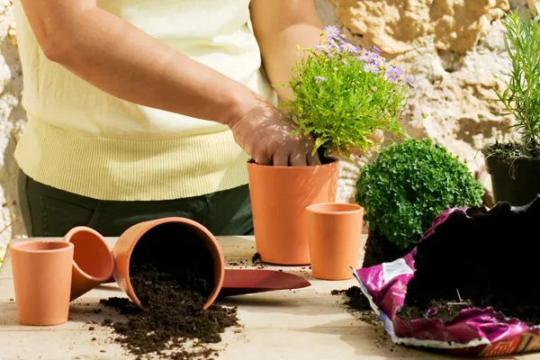 Thinkstock Thinkstock