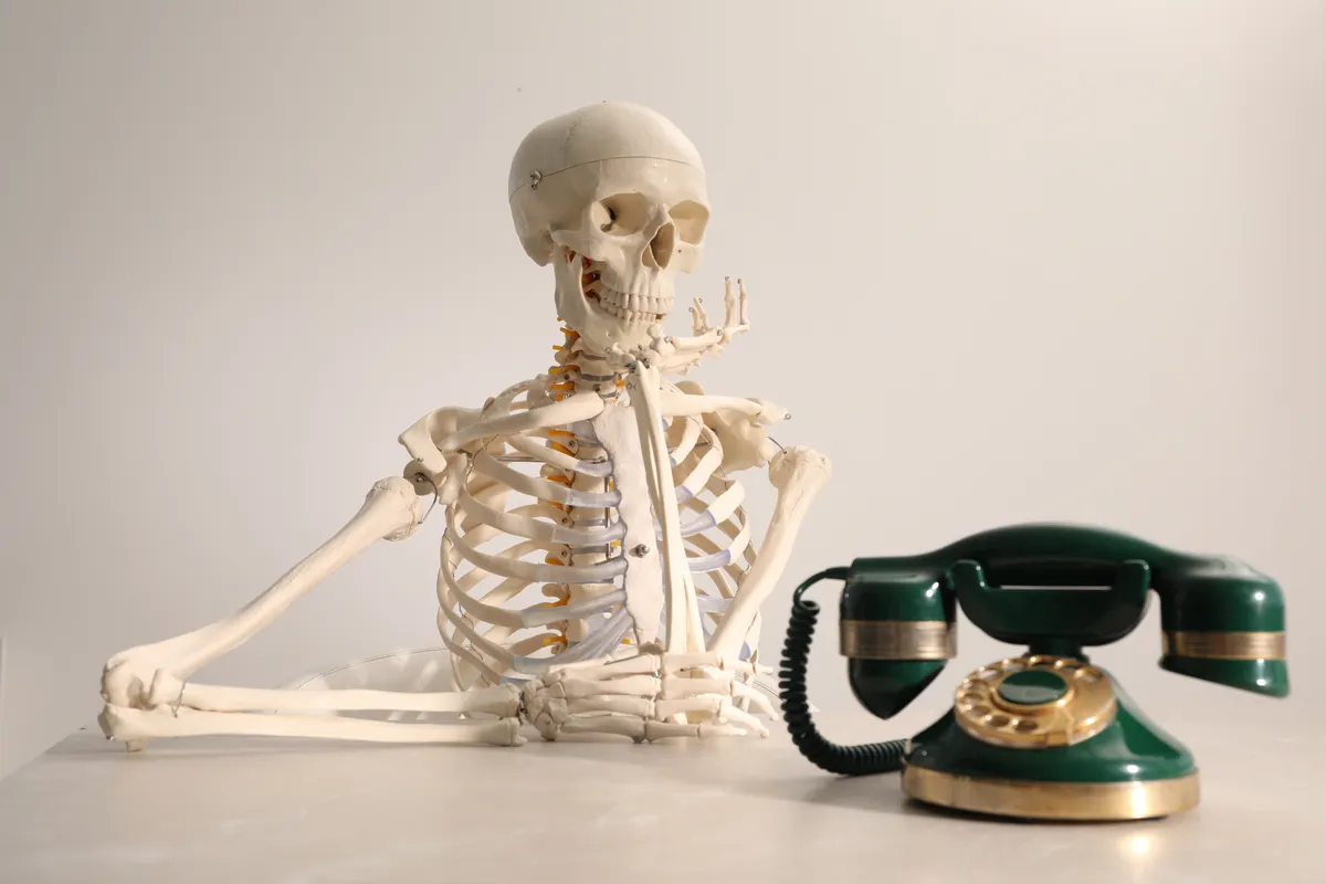 Waiting,Concept.,Human,Skeleton,At,Table,With,Corded,Telephone,Against, Darwin díj