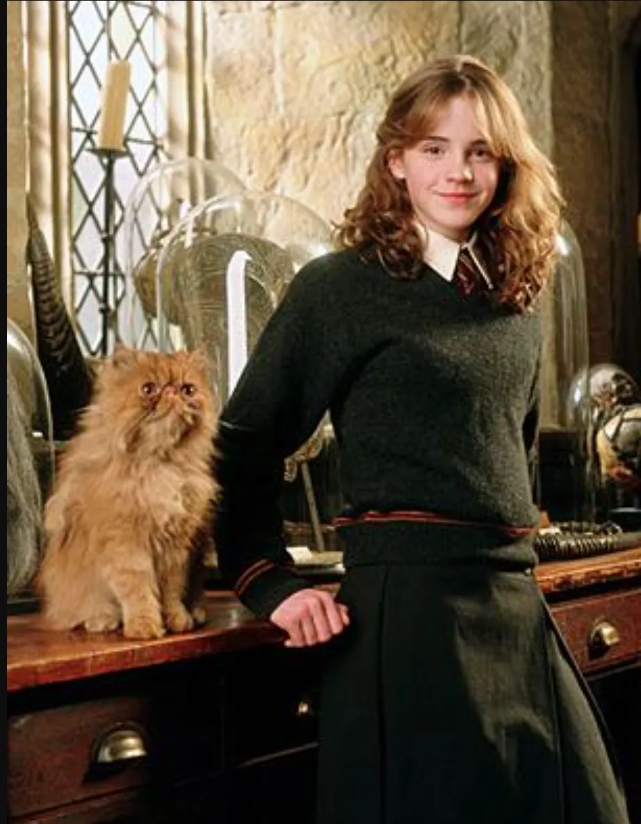 Harry Potter-univerzum hős megmentője: Csámpás