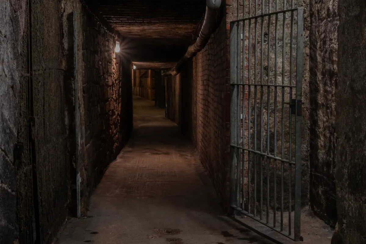 horrorisztikus régi pince