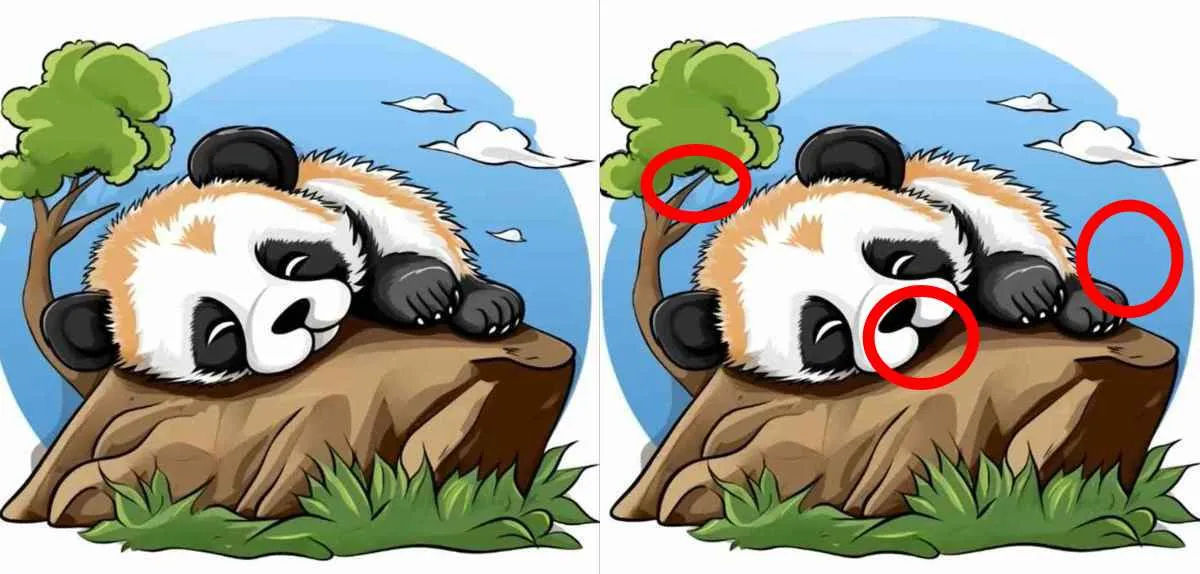 Panda IQ-teszt