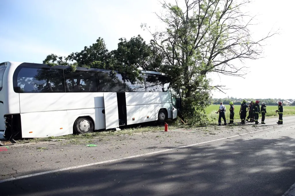 Halálos buszbaleset történt szombat reggel Pécs közelében