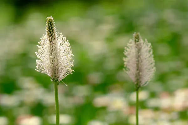 Thinkstock Thinkstock