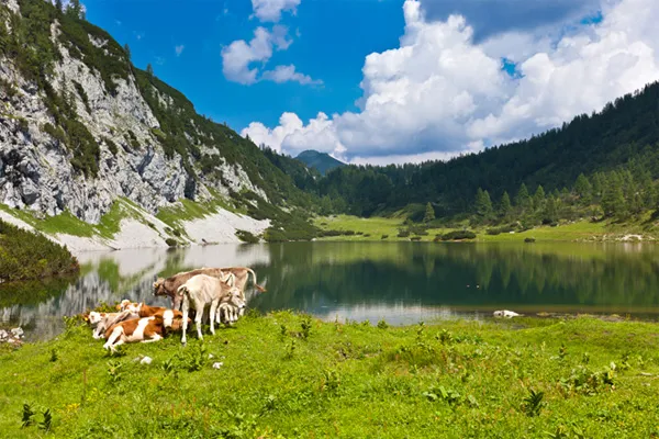 Forrás: Thinkstock Forrás: Thinkstock