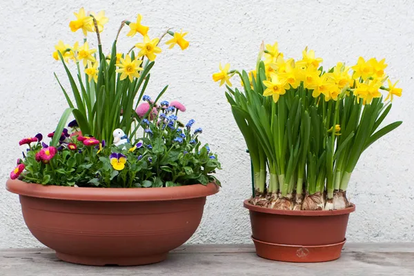 Thinkstock