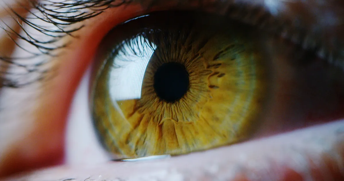 perfect green eye macro in a sterile environment and perfect vision in resolution 6k, concept, the vision of the future and healthy life concept. view precise and straight to the target.