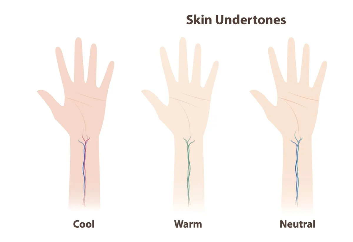 The skin undertones vein test vector illustration isolated on white background. The categories of undertones look at the veins on the wrist. Cool, warm, neutral and olive. Skin and beauty concept.