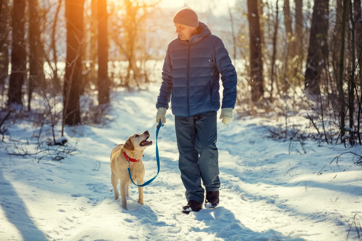 Man,With,Dog,On,A,Leash,Walking,On,Snowy,Pine