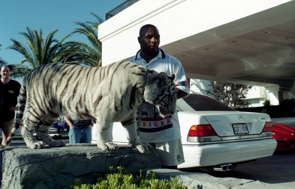Mike Tyson és tigrise