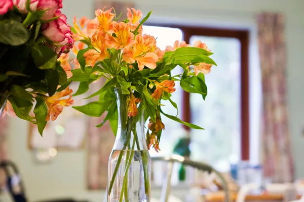 Thinkstock Thinkstock