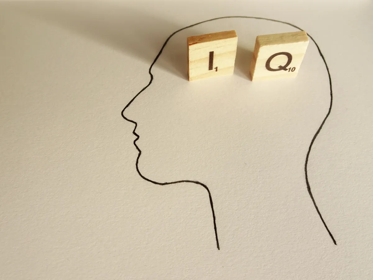 IQ-teszt – agytorna