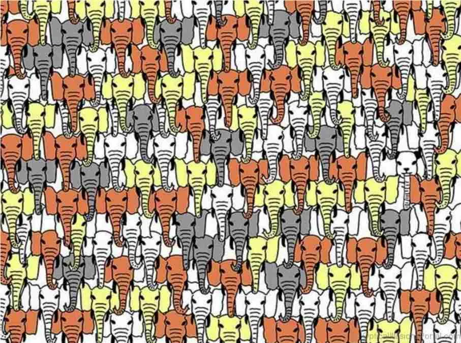 IQ-teszt: neked sikerült kiszúrnod a pandát 5 másodpercen belül?