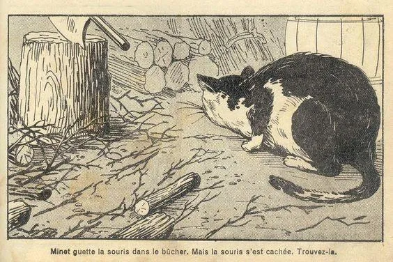 iq-teszt, képrejtvény