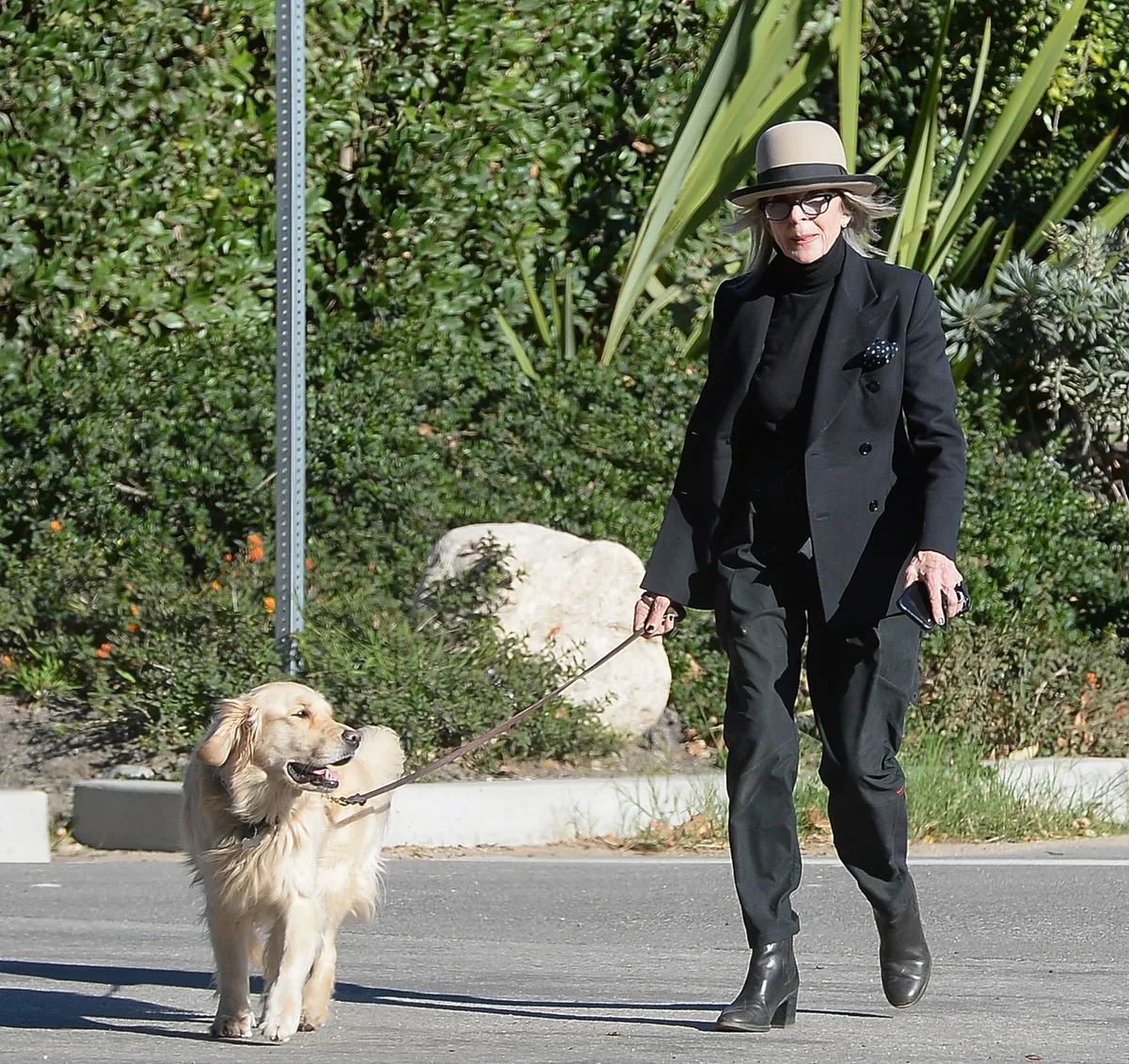 Diane Keaton mindennap sétáltatta kutyáját a háza környékén