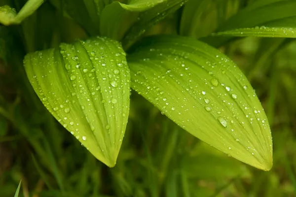 www.thinkstockphotos.com