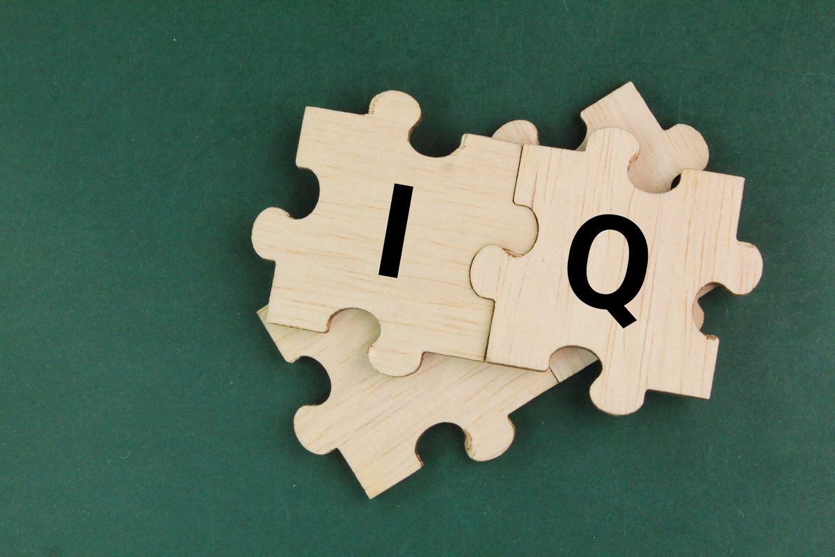 iq, intelligencia