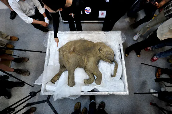 AFP