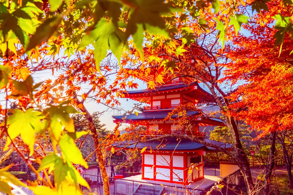 Japán