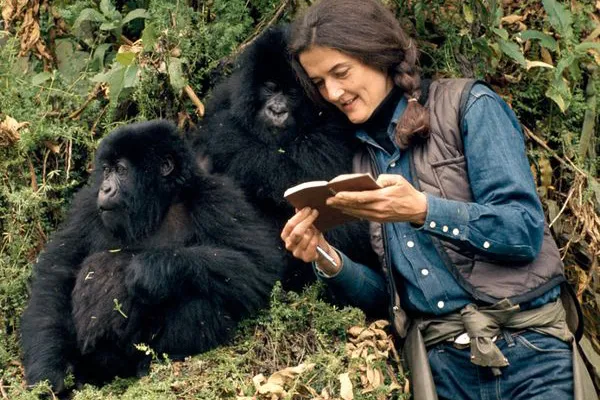 www.nationalgeographic.com www.nationalgeographic.com