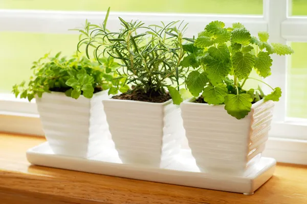 Thinkstock Thinkstock