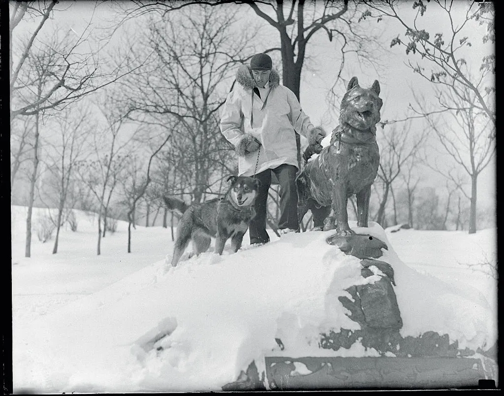 (Original Caption) New York City: Honoring A Departed Comrade. A few years ago, a heroic dog team broke through an icy wilderness to bring lifesaving serum to residents of Nome, Alaska, in a dash which electrified the world. The hero of this trip was a Siberian husky, named "Balto," who has since died. A comrade of Balto in the team was "Matti," who is seen here with his master, Harry Wheeler, beside the statue of Balto erected in Central Park, New York. Wheeler has Matti and a team of Siberian huskies exhibit in the Dog Show to be held at Grand Central Palace, New York.