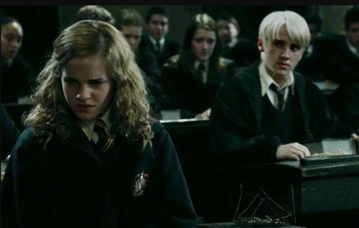 Harry Potter szereplők, Hermione és Draco
