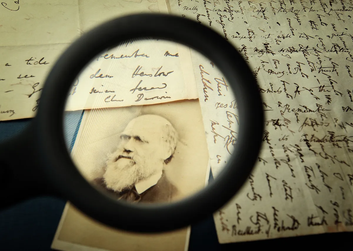 A női szőrtelenítés elvárása Charles Darwin egyik tanulmányából eredeztethető